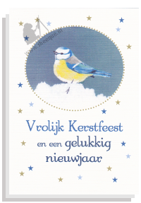 Kerstkaart pimpelmeesje sterretjes